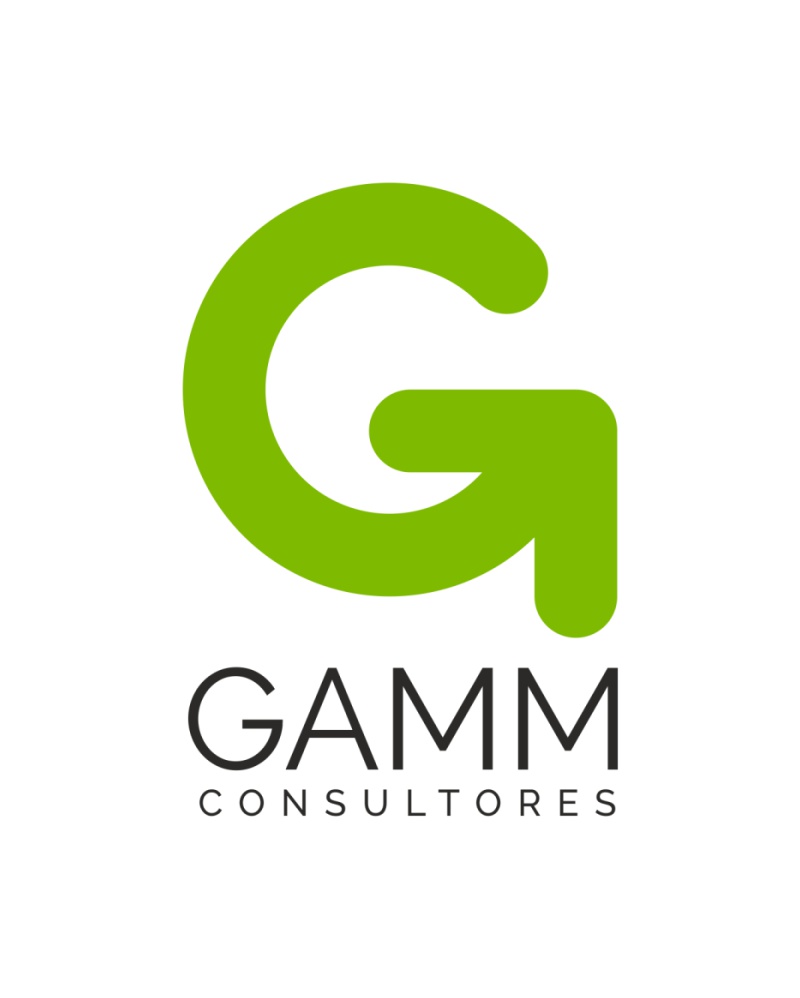 GAMM Consultores