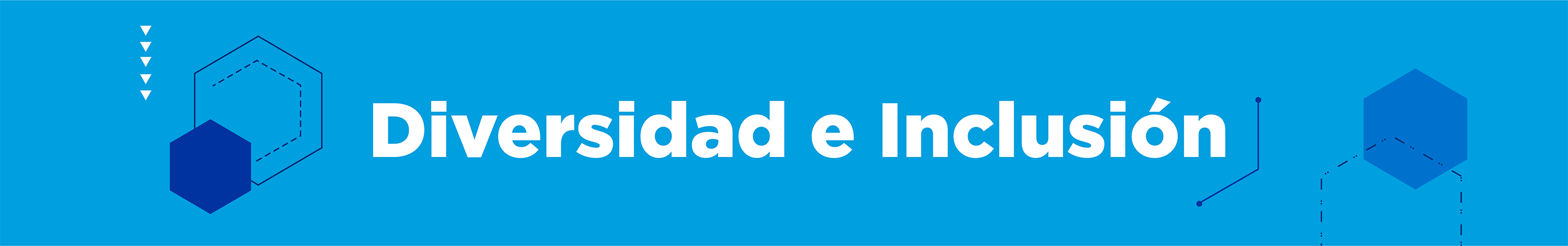 Diversidad_e_Inclusión