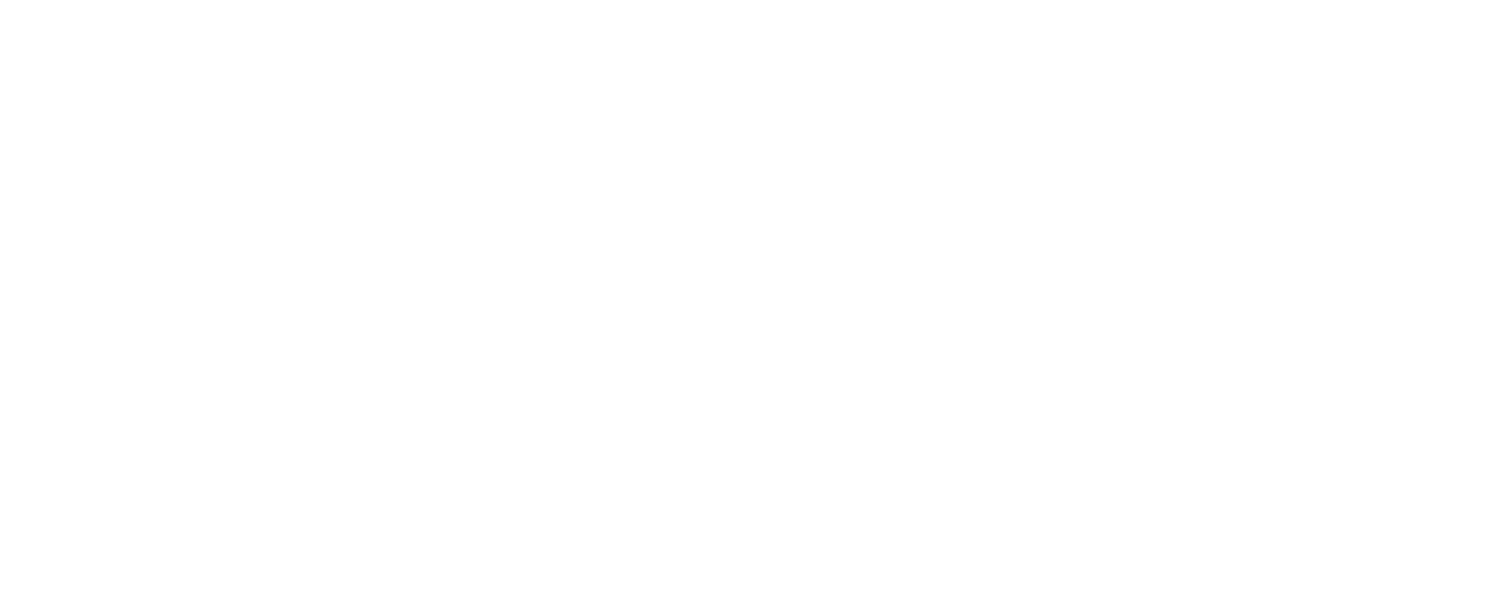 Zavidoro