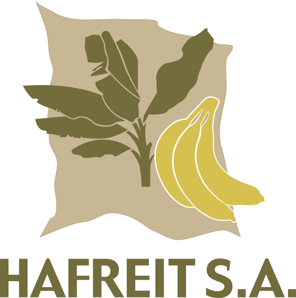Hafreit