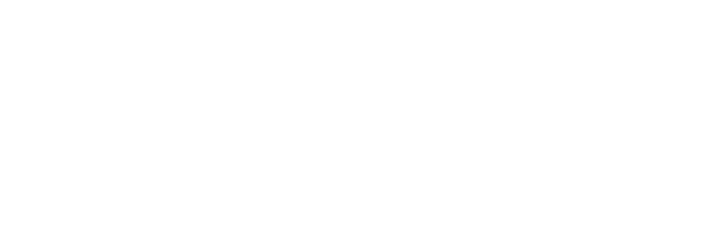 Grupo Prolusa